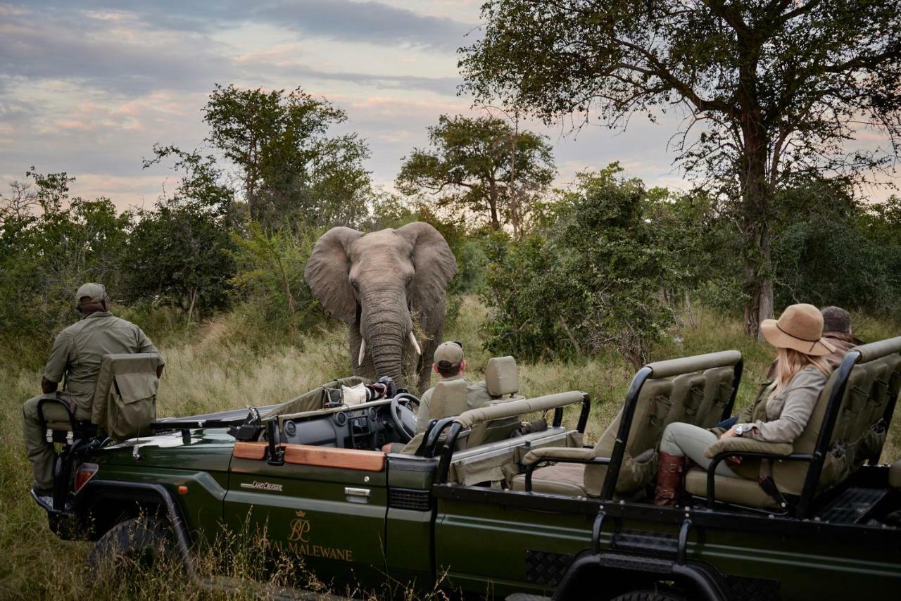 Villa Royal Malewane Riserva di Caccia Thornybush Esterno foto